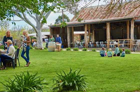 Caroline Hills Vineyard